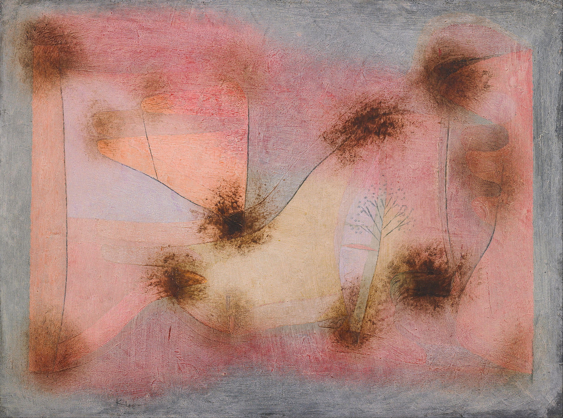 Hardy Plants Paul Klee